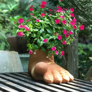 Chậu đất nung "Bàn chân lớn", R23 x C20 x D40 cm