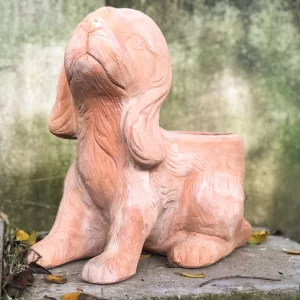 Chậu chó tai dài trồng cây, D40xR24xC40 cm