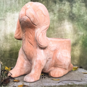 Chậu chó tai dài trồng cây, D40xR24xC40 cm